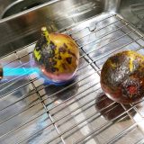 てまかけるの精進料理～焼無花果の味噌田楽～